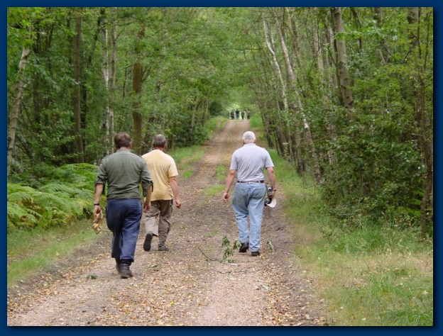 600x449 pixels (168K)